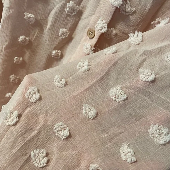 Sheer Pom Button Down Blush Blouse - Picture 3 of 4